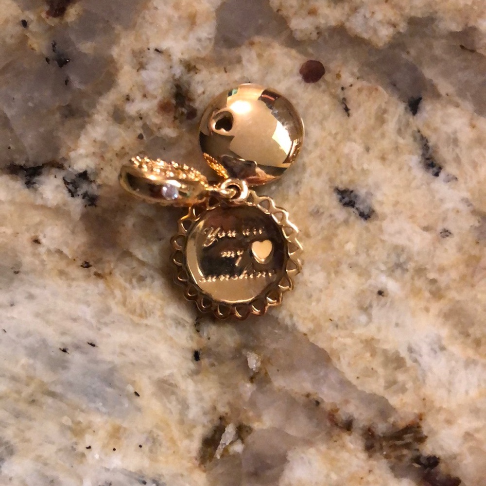 Pandora charm